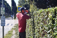 langs-de-somerenseweg