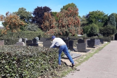 toon-in-de-bush-niet-bewerkt-liggend