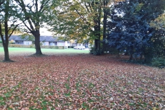 20211108_161600