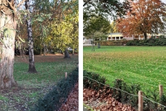 herfst-2