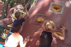 WhatsApp-Image-2021-07-29-at-19.39.37-4