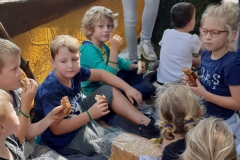 WhatsApp-Image-2021-07-28-at-20.41.11-5