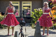 Zingen-voor-saamhorigheid-Koningsdag-Henricushof-2020-Lierop-33