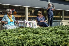 Zingen-voor-saamhorigheid-Koningsdag-Henricushof-2020-Lierop-38