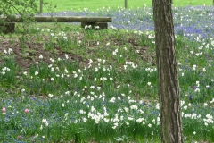 keukenhof-in-lierop06-E