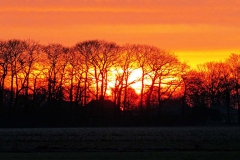 Lieropse luchten bij zonsopkomst 