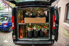 Jet-van-Vlokhoven-02