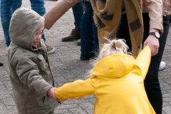 Jeu-de-boulle-2019-40