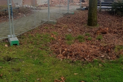 IMG-20250131-WA0005