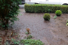 tuin1