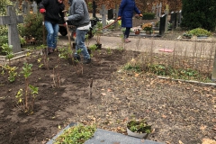 plant-2-schoefelen-en-Nel
