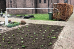 plant-rechtsachter-klaar