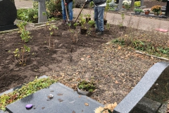 plant-schoeffelen-in-midden-2-man