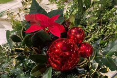 132883667_1021179001727923_3375244761429700009_o