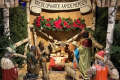 133213074_1021178145061342_8170902175202252289_o