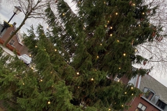 133347646_1021177631728060_464632821123296308_o