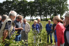 vrienden-2
