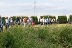 groep-in-het-veld